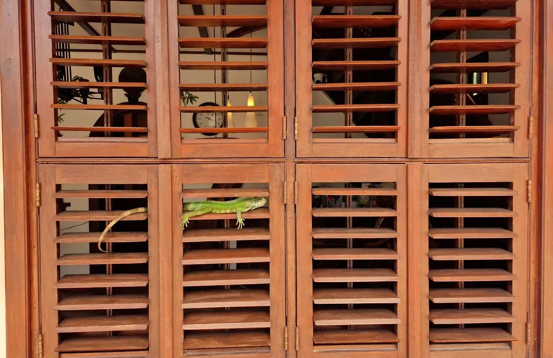 Greenheart Boutique Hotel-1